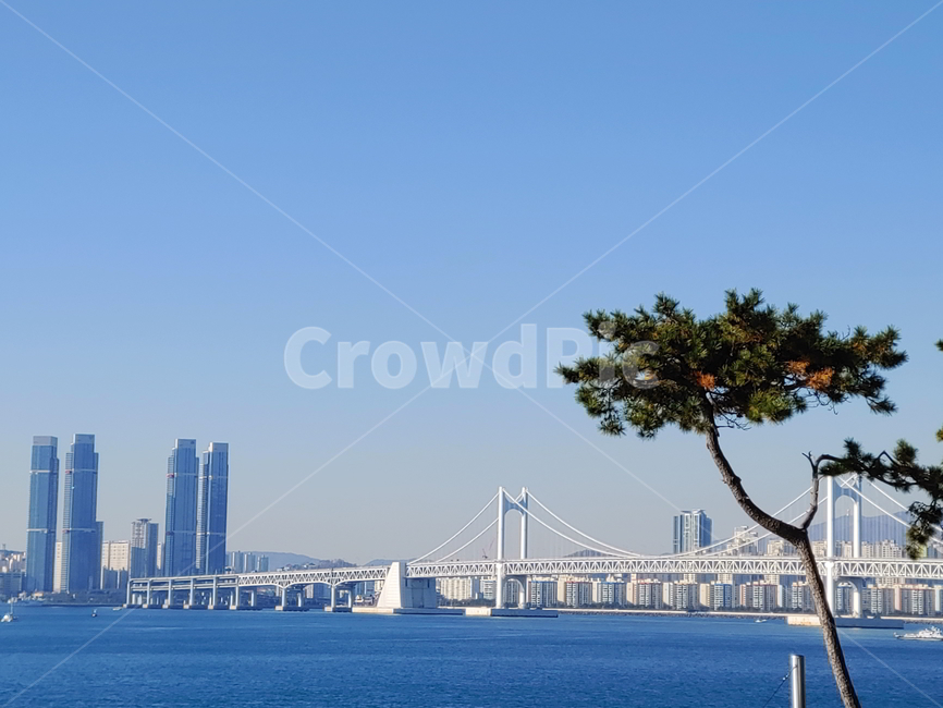 바다,풍경,해변,빌딩,하늘,도시,풍경,city,landscape,한국도시풍경,한국도시경관,korea cityscape