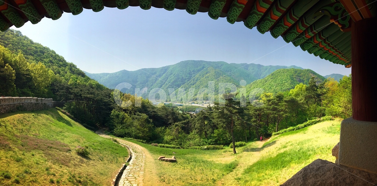 문경,고모산성,전경,숲,산