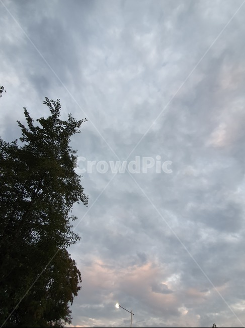 나무,하늘,풍경,저녁,노을,구름,sky