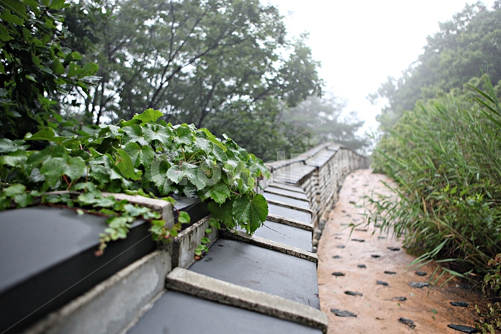 남한산성,성곽,돌담,둘레길,안개,숲길,숲,길,담
