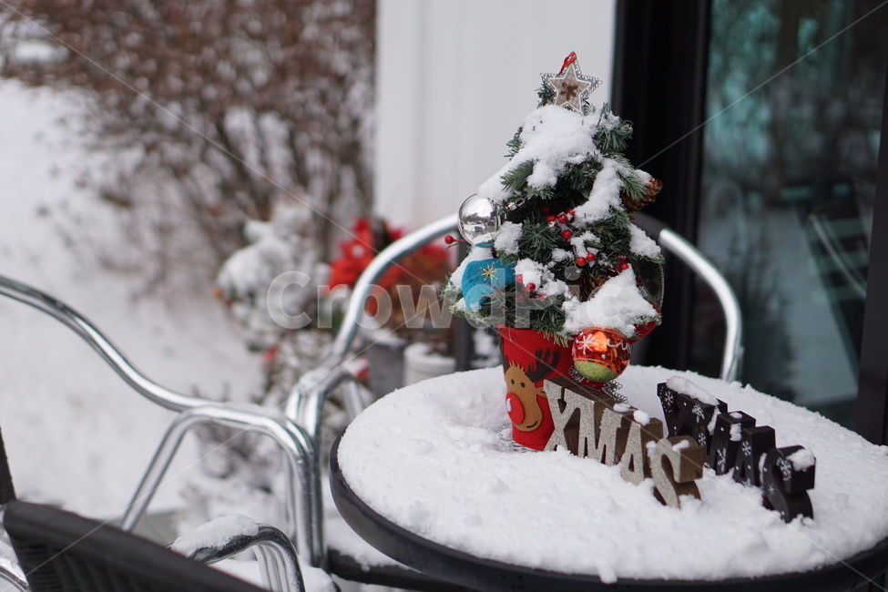 눈,snow,크리스마스,outdoor,폭설,겨울,계절,winter,season,자연,풍경,nature,landscape