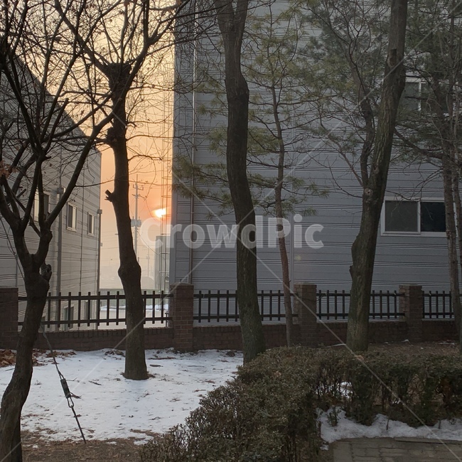 새벽,눈,겨울,아침,태양,해,빛,오전,밝음,상쾌한,시원한,하늘,풍경