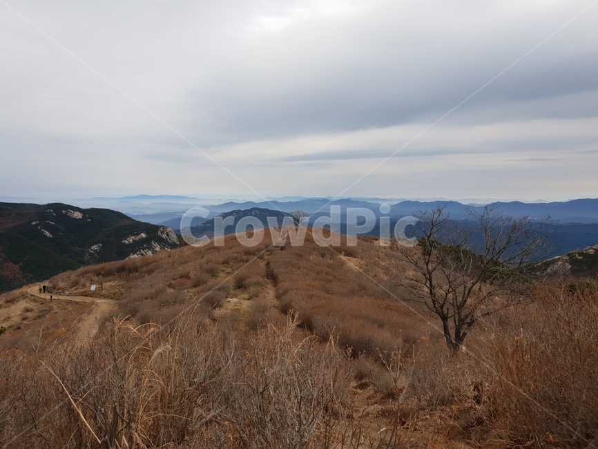 산,황매산,억새,구름,풍경,outdoors,옥외,nature,자연