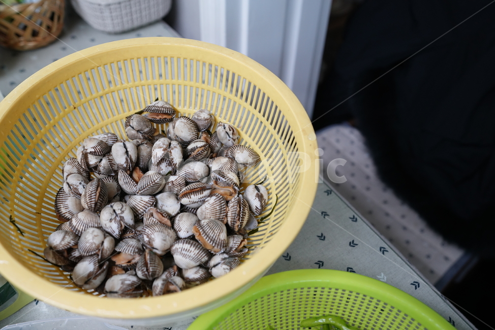 꼬막,조개,해산물,음식,식재료,먹거리,바구니,sealife,seashell,수산물,해산물,fishery products,seafood