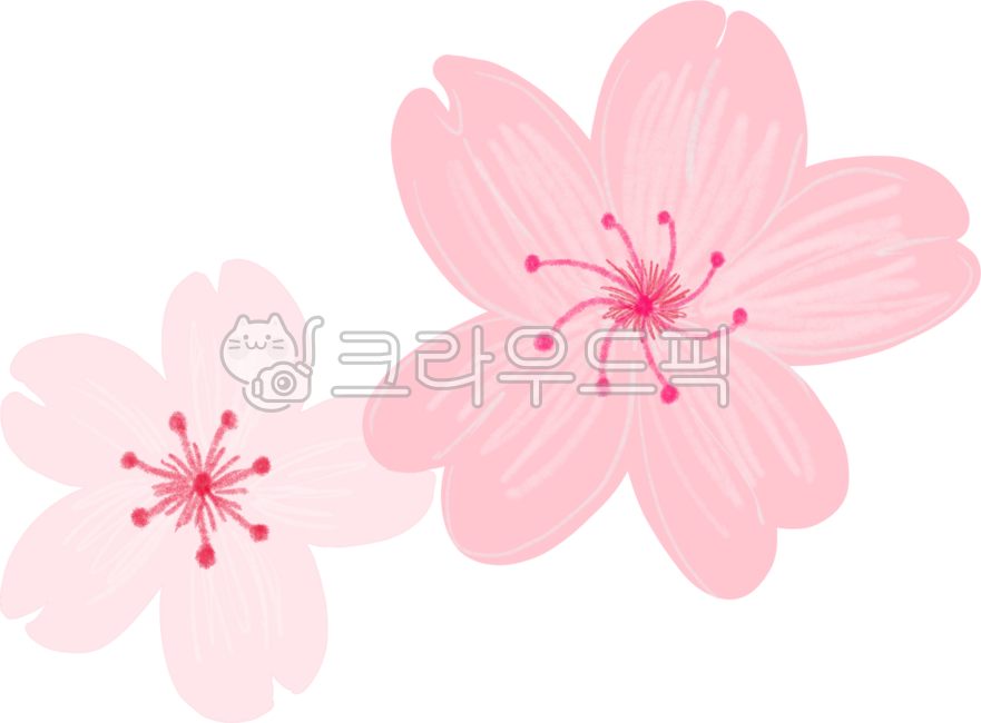 Cherry blossoms,cherry tree,spring,new spring,spring flowers,cherry blossom path,pink flowers,flower rain,petals,cherry blossom tree,spring,cherry blossom date,cherry blossom ending,flower decoration,spring scenery,lovers,spring outing,li