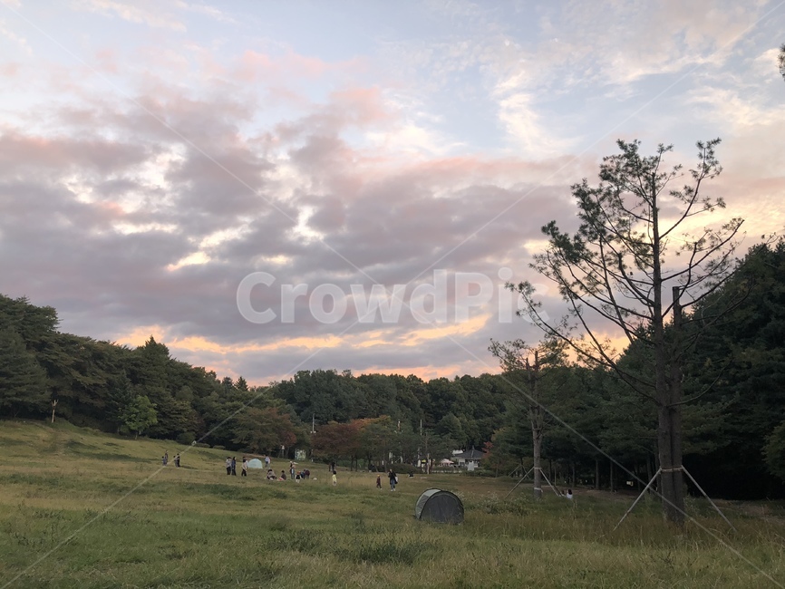 자연,들,nature,가을,하늘,바람,땅,구름,YEONGRAN,자연,풍경,nature,landscape