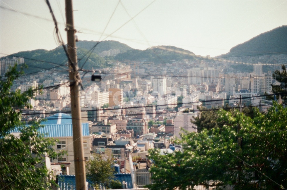부산,도시,city,busan,필름사진,filmphoto,전깃줄,전봇대,wire