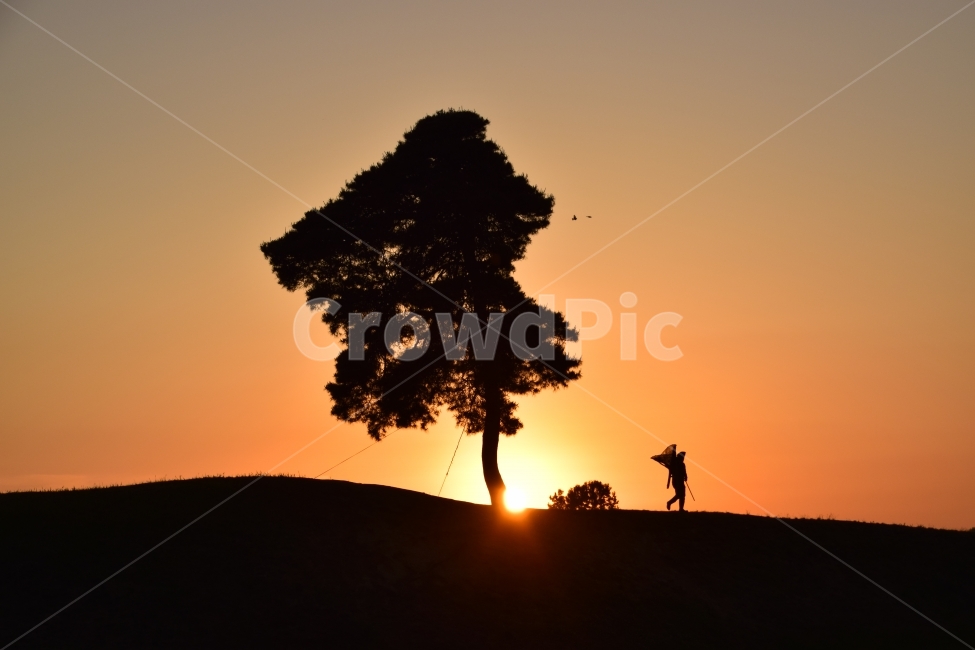 석양,노을,일몰,태양,그림자,자연,풍경,nature,landscape,식물,plants,나무,trees,wood,실루엣,그림자,silhouette,shadow,인물실루엣,사람실루엣,character silhouette,human silhouette,outdoors,옥외