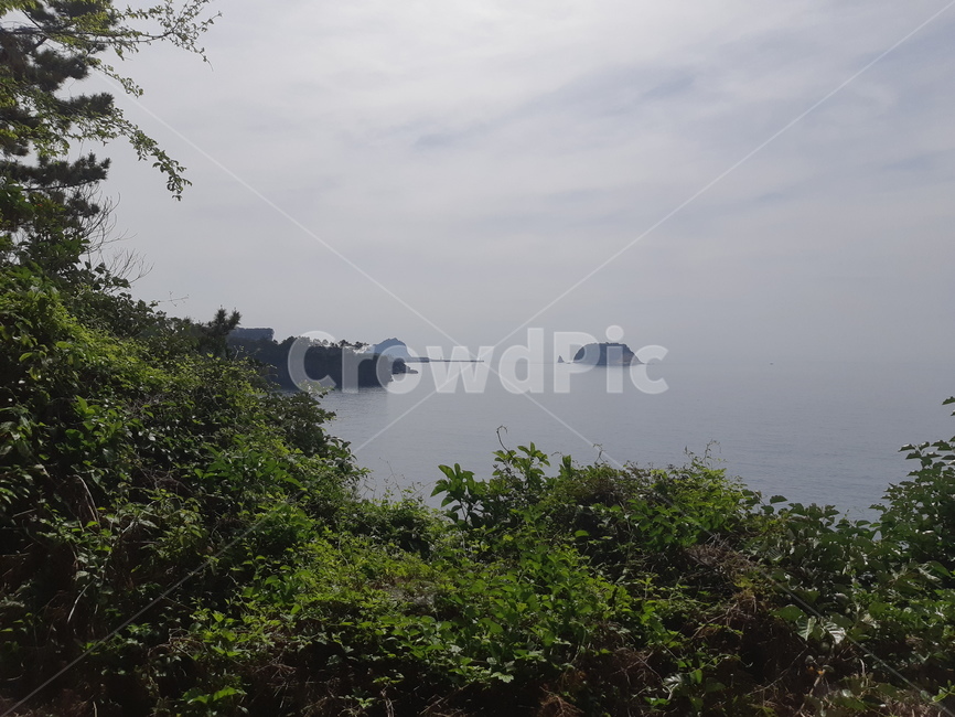 바다,제주도,해변,수평선,하늘,흐림