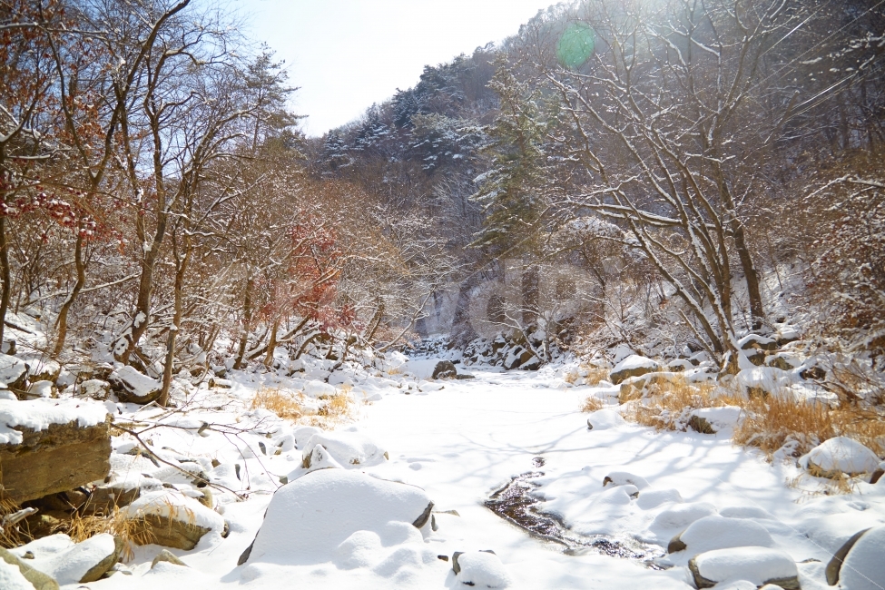 겨울,눈,얼음,계곡,발자욱,겨울나무,자연,풍경,nature,landscape,겨울,계절,winter,season,tree,나무,plant,식물,fir,전나무