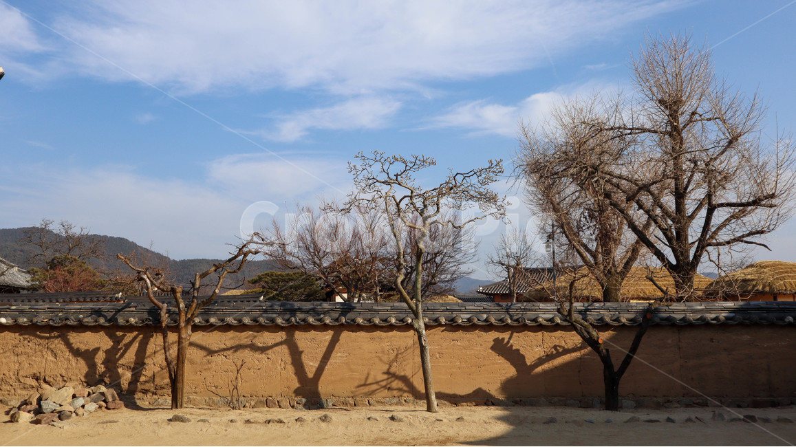 자연,풍경,마을,한옥,초가집,겨울,계절,하늘,자연경관,한국자연풍경,season,winter,전망,기와,나무,감성,배경,sky,tree