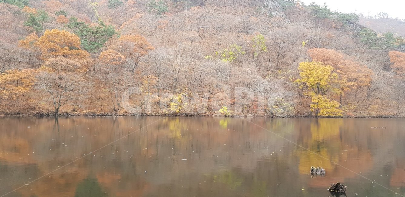 가을,단풍,water,물,nature,자연,호수,주산지,가을,계절,fall,autumn,season,자연,풍경,nature,landscape,outdoors,옥외
