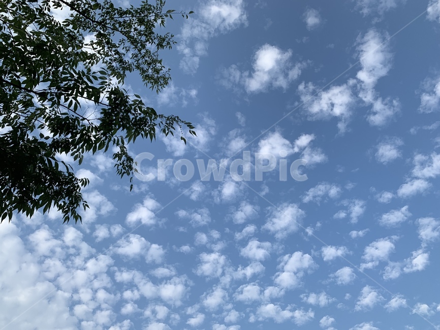 하늘,자연,풍경,구름,날씨,바람,맑음,흐림,sky,nature,view,cloud,weather,wind,landscape,outdoors,옥외,푸른하늘