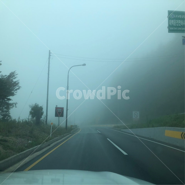 차안,안개,여행,드라이브,풍경