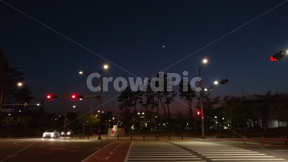 달,moon,신호등,노을,밤하늘,trafficlight,tree,나무,야경,밤,풍경,nightscape,night,landscape,road,도로,asphalt,아스팔트,light,빛,traffic light