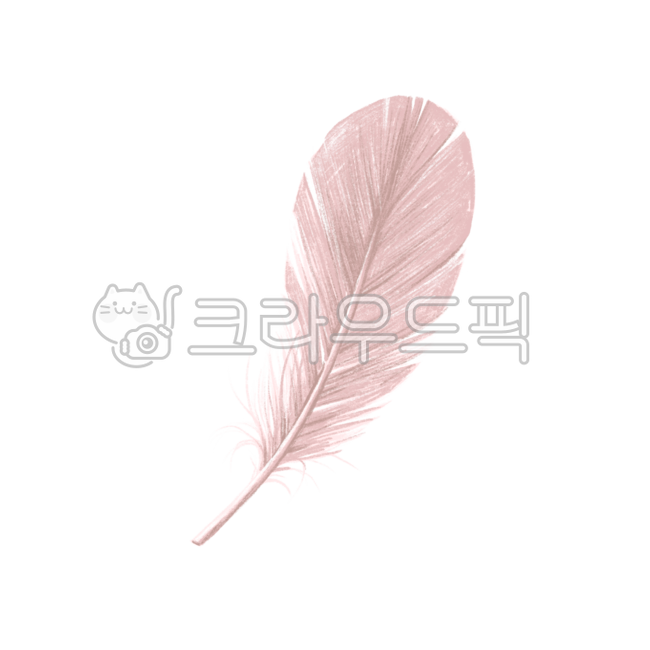 깃털,새,손그림,일러스트,깃털일러스트,누끼