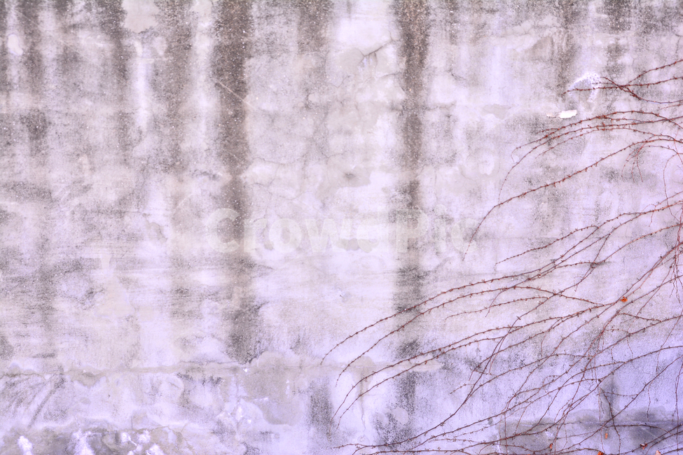 텍스쳐,패턴,바탕,빈티지,배경,백그라운드,질감,표면,texture,background,반복,추상,담장,울타리,pattern,vintage,시멘트,콘크리트,나무,빈티지사진,빈티지느낌,빈티지감성,vintage