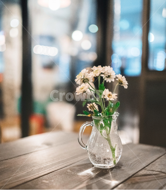 꽃,화병,화분,식물,감성사진,인테리어,식물,자연,plants,nature,꽃,flower,실내용화초,화분,화초,house plant,인테리어,실내디자인,interior design