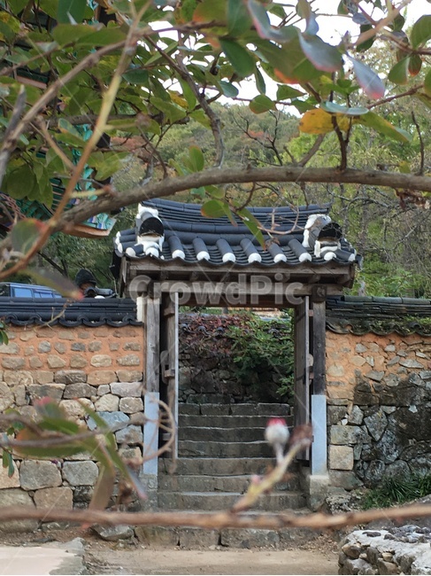 선암사,풍경,가을,낙엽,돌담장,돌담,담장,기와,산사,산지승원,절,사찰,불교,템플스테이,기도,유네스코,세계문화유산,산책,문,계단,돌계단,배롱나무,한국전통,한국문화,korean traditional,korean culture,건축물,건물외관,exterior,building,structure,architecture,construction