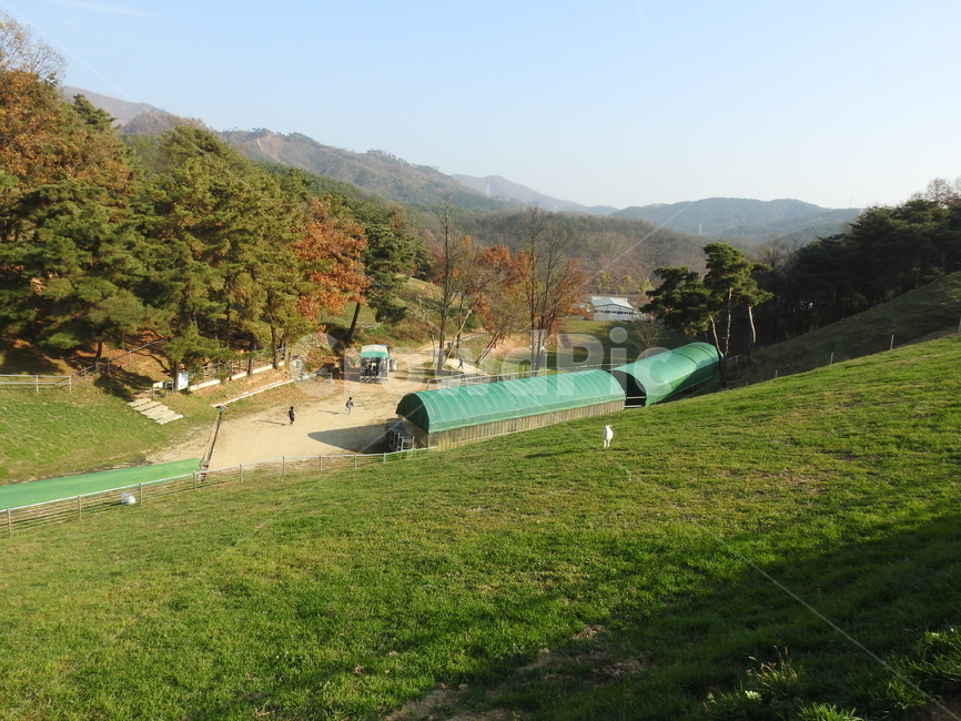 자연,농촌,풍경,산,산속