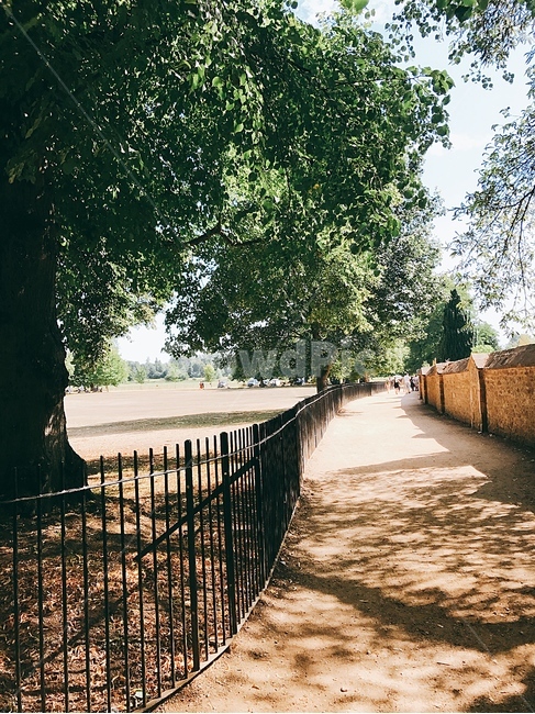 path,통로,walkway,보도,railing,난간,나무,영국,park,런던,pavement,sidewalk,유럽,조용,잔잔,그림자,나무,trees,wood