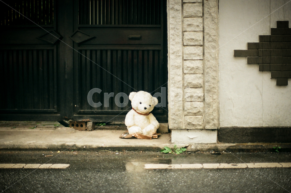 비,흐림,오후,인형,곰인형,버려진,감성사진,필름사진,film,filmphotography,sensitive,길거리,street,outdoor,감성,sensible,feeling,고독함,외로움,쓸쓸함,우울함,슬픔,lonely,solitary