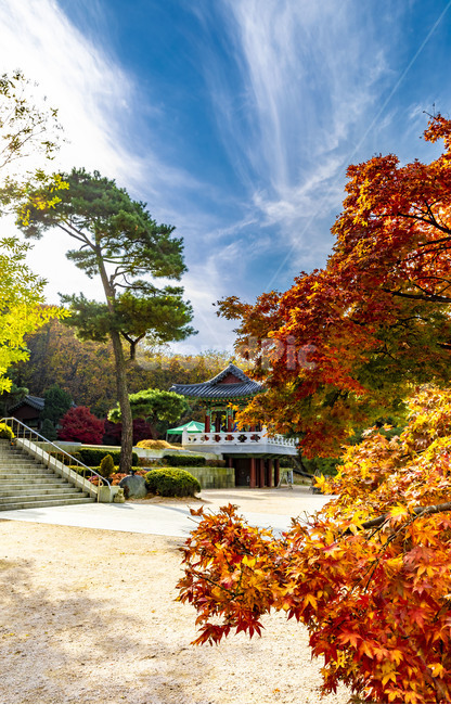 보광사,가을,단풍,자연,풍경,사찰,하늘,단풍잎,나뭇잎,계절,가을서정,식물,plant,나무,나무줄기,잎,가을,계절,fall,autumn,season,leaf,tree,maple