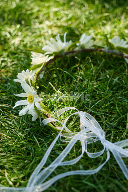 머리띠,꽃,식물,결혼,정물,로맨틱,조화,꽃,flower,기념일,축하,anniversary,congratulation,celebrate,celebration