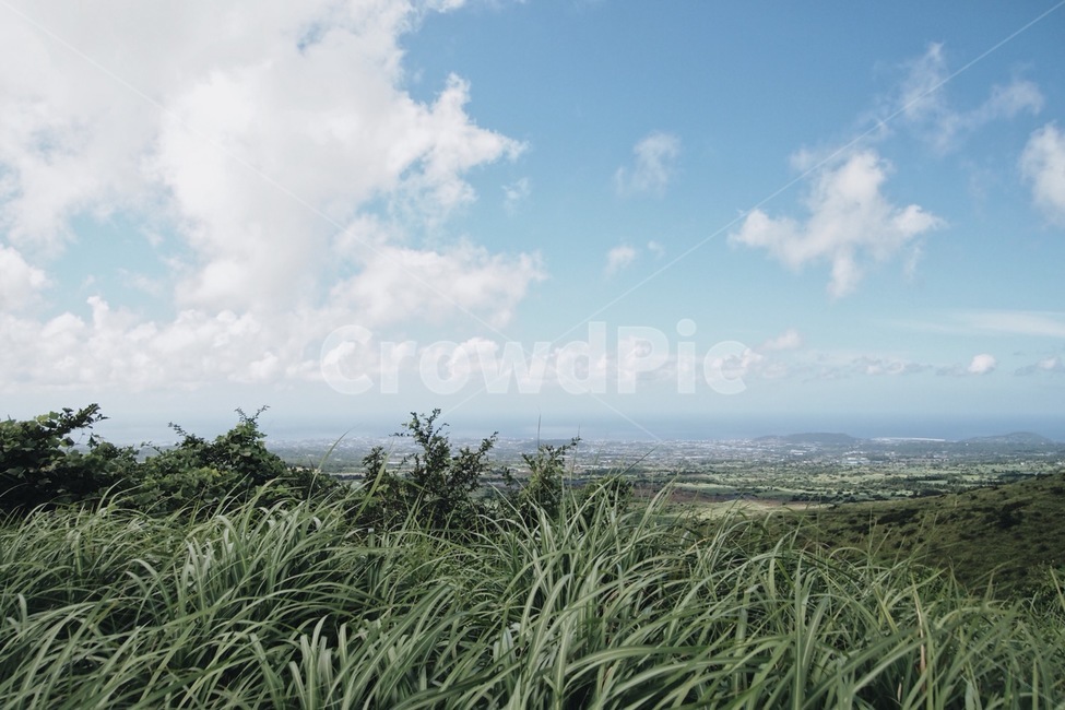 자연,풍경,하늘,구름,풀,제주도,오름,감성,맑음,자연,풍경,nature,landscape,outdoors,옥외
