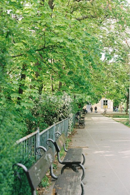 벤치,bench,의자,휴식,나무,여유,햇살,sunshine,tree,공원,park,힐링,감성,평화로운,초록,green,빈의자,쉼터,shelter,나무의자