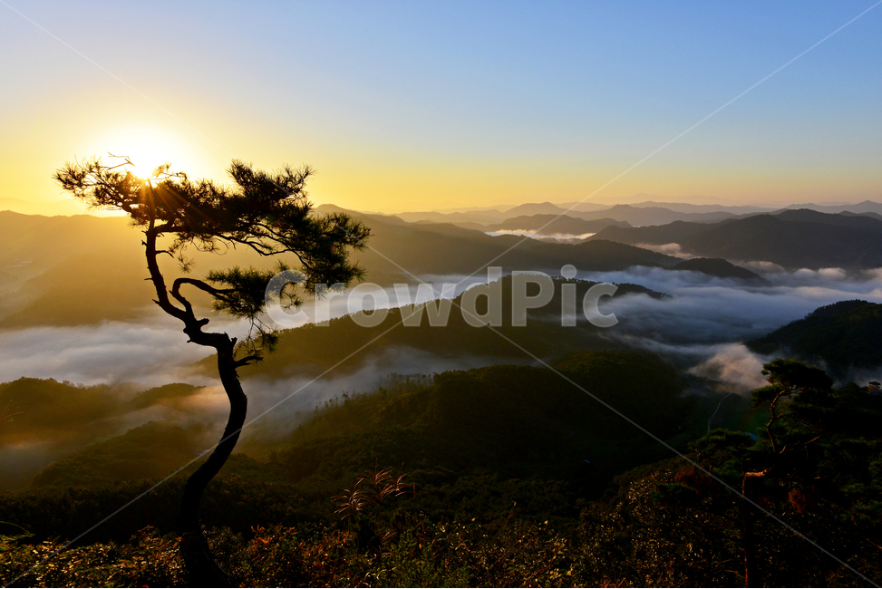 nature,자연,outdoors,임실,국사봉,운해,국사봉일출,아침,여명,해돋이,경치,경관,풍경,옥외,mountain,산,mountainrange,산맥,dawn,새벽,sky,하늘,redsky,붉은하늘,소나무,flare,플레어,light,빛,자연,풍경,nature,landscape,한국자연풍경,한국자연경관,korea nature landscape