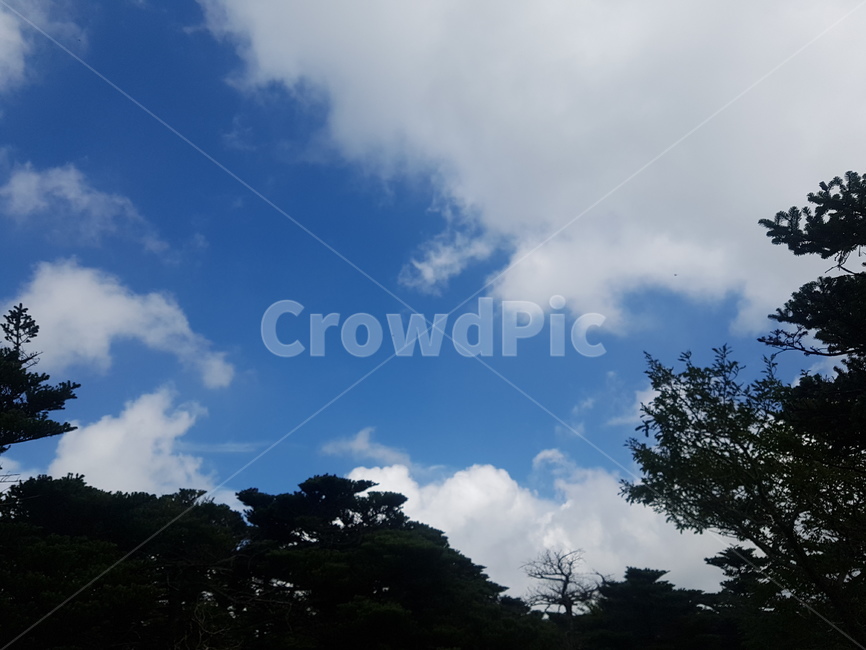 상쾌한,아침,기분,산,상승,마무리,자연,풍경,nature,landscape,outdoors,옥외,weather,날씨,cloud,구름,cumulus,적운,sky,하늘
