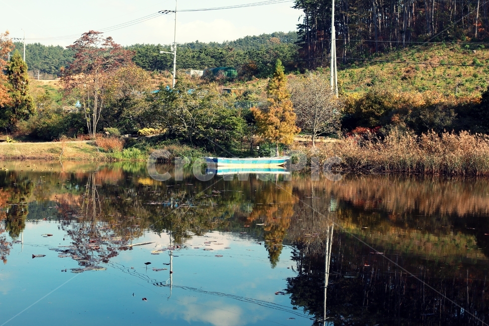 배,하늘,가을,갈대,자연,자연,풍경,nature,landscape