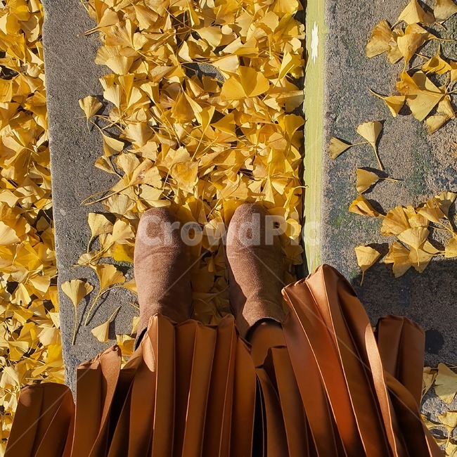 은행잎,가을,낙엽,단풍,leaf,plant,가을,계절,fall,autumn,season