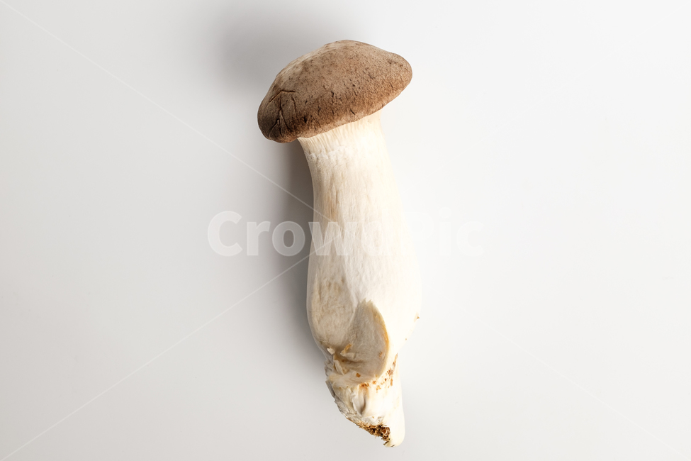 새송이버섯,버섯,음식,채소,채식,식용버섯,식용,날것,재료,식재료,음식재료,식품,식사,건강한,맛있는,부드러운,큰,균,야채,질감,비타민c,웰빙,육질,버섯갓,버섯기둥