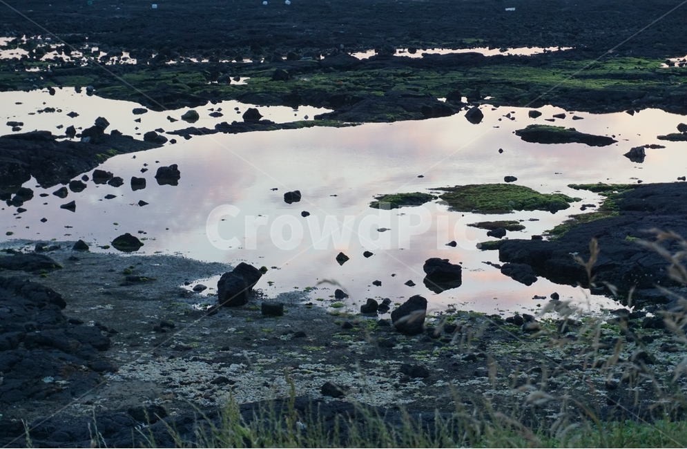 풍경,자연,바다,돌,바닷물,자연,풍경,nature,landscape,제주도,jeju,jeju island,outdoors,옥외,land,땅,water,물,scenery,경치
