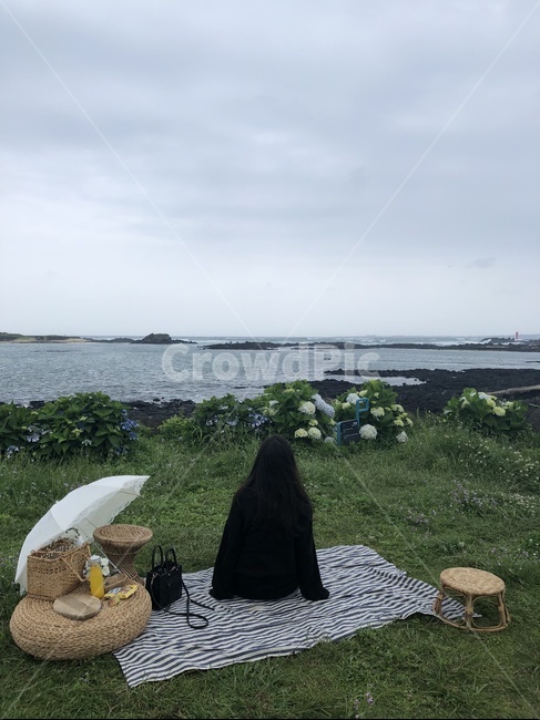 여자,뒷모습,소풍,피크닉,바다