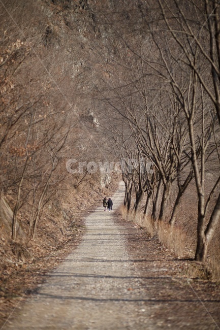 자연,가을,산책,트레킹,사람