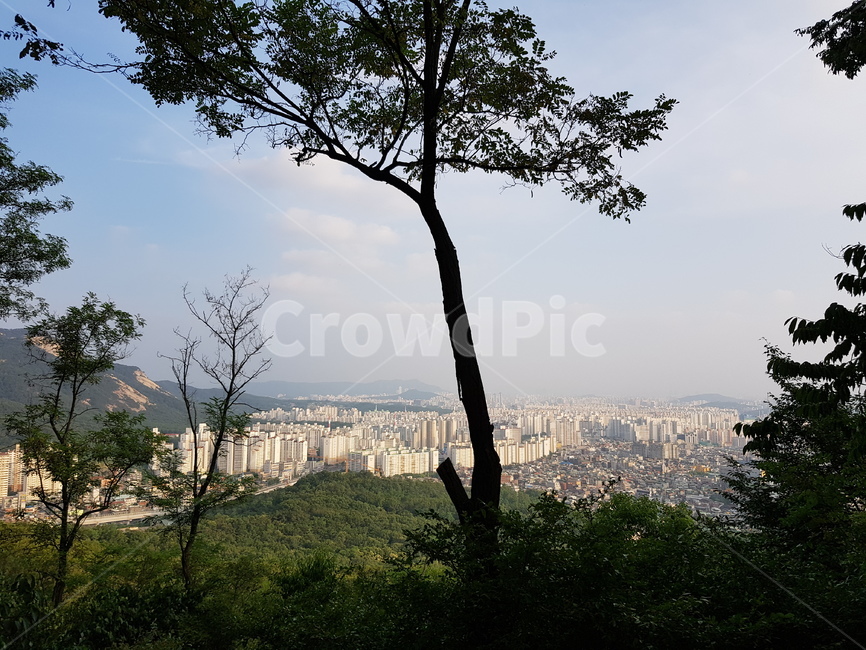 자연,풍경,landscape,nature,휴식,rest,season,나무,등산,산,서울전경,마을