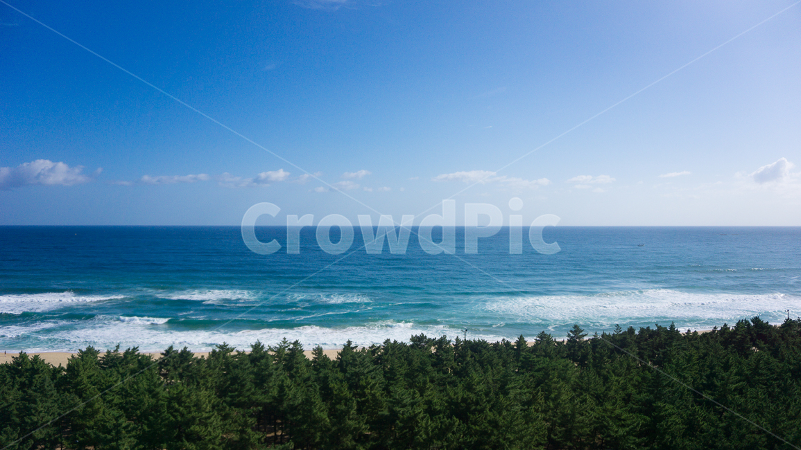 바다,가을,파도,해변,하늘,풍경,물,해안선,자연,ocean,nature,해변,바다,beach,sea