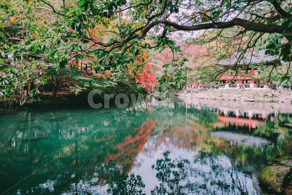 풍경,배경,가을,단풍,등산,전라도,내장산,background,scenery,autumn,maple,mountain,계절,fal,lseason,자연,nature,landscape,한국자연풍경,한국자연경관,koreanaturelandscape,한국전통,한국문화,koreantraditional,koreanculture,사람들,대중,군중,other,people,crowd,물들다,반영,백암사,오색,명소,배경화면,가을,계절,fall,autumn,season,자연,풍경,nature,landscape,한국자연풍경,한국자연경관,korea nature landscape,한국전통,한국문화,korean traditional,korean culture,plant,식물,outdoors,옥외