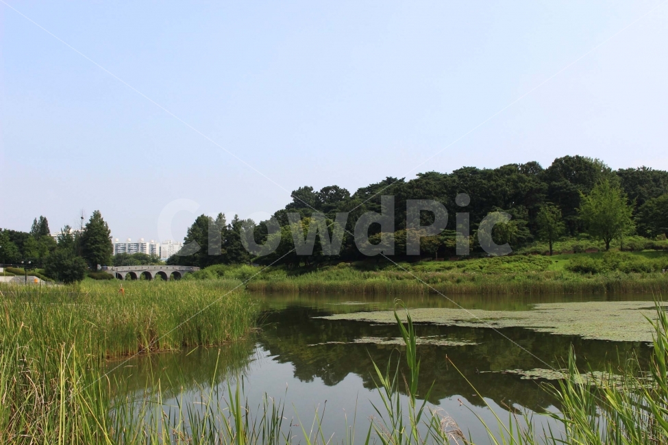 하늘,나무,자연,야외,공원,정원,풍경,다리,자연,풍경,nature,landscape,water,물,outdoors,옥외,land,땅