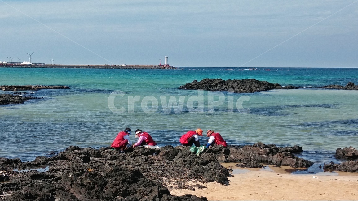 제주도,해변,수평선,작업,바다,자연,풍경,nature,landscape,한국자연풍경,한국자연경관,korea nature landscape,해변,바다,beach,sea,제주도,jeju,jeju island,사람들,대중,군중,other people,crowd,여성,여자,woman,female,lady,person,사람,human,인간,outdoors,옥외,water,물,ocean,대양