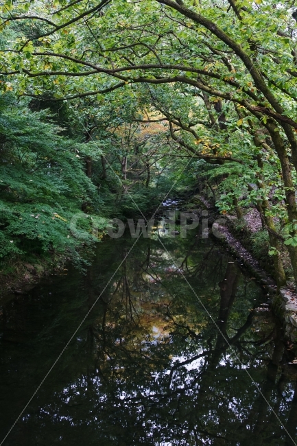 전라도,백양사,계곡,초가을,반영,여행,자연,풍경,nature,landscape,water,물