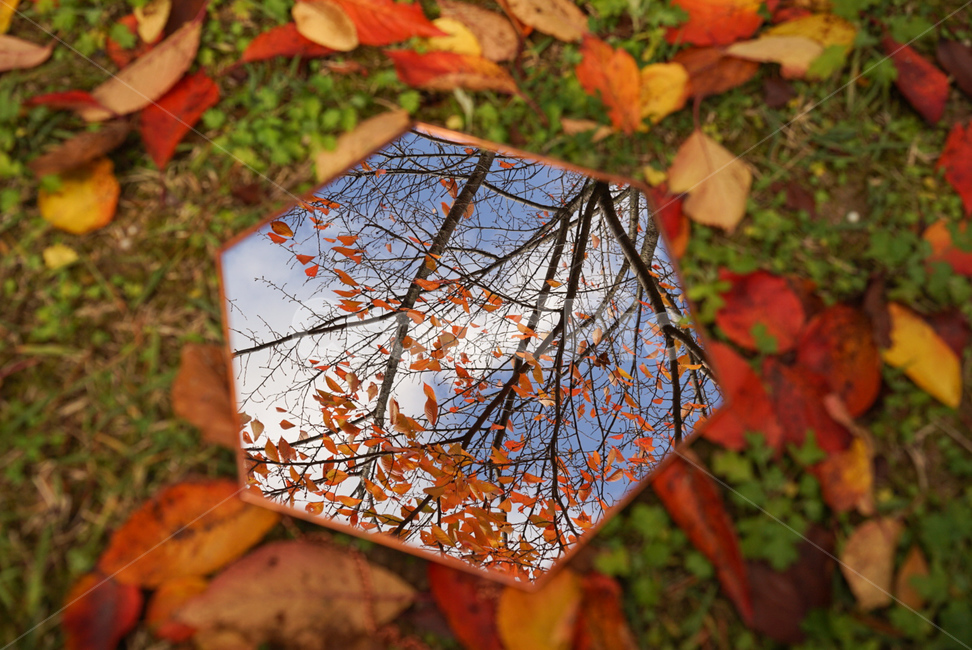 한국,가을,낙엽,단풍,거울,가을하늘,하늘,sky,fall,따뜻함,여유,자연,가을,계절,fall,autumn,season,사물,물건,오브젝트,thing,object,matter,leaf,잎,plant,식물,tree,나무,maple,maple leaf,단풍잎