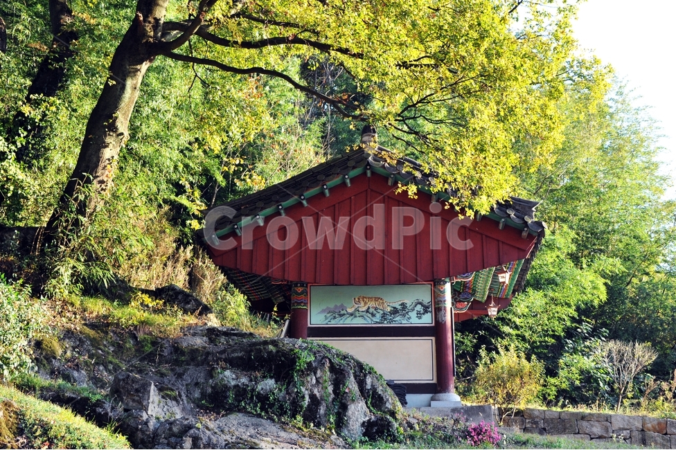 절,기와,전통가옥,상수리나무,식물,불교,산사,한옥,한국전통,한국문화,korean traditional,korean culture,종교,신앙,religion,belief,faith,건축물,건물외관,exterior,building,structure,architecture,construction