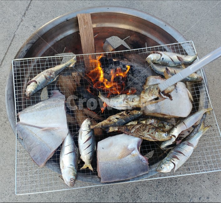 생선구이,장작,생선,물고기,바다,음식,fish,fire,캠핑,불