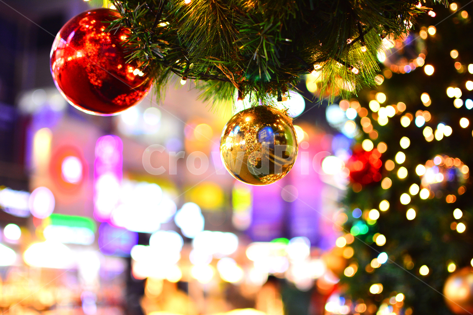 크리스마스,성탄절,보케,트리,야경,xmas,성탄볼,년말,장식,데코레이션,볼,화려한,중심가,밤거리,시내,12월,tree,merrychristmas,decoration,배경,바탕,백그라운드,background,조명,불빛,빛망울,칼라풀,colorful,거리,겨울,계절,winter,season,야경,밤,풍경,nightscape,night,landscape,기념일,축하,anniversary,congratulation,celebrate,celebration,메리크리스마스,성탄절,merry christmas,나무,plant,식물,ornament
