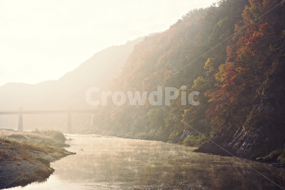 landscape,river,가을풍경,동강,물안개,가을,계절,fall,autumn,season,자연,풍경,nature,landscape,한국자연풍경,한국자연경관,korea nature landscape,weather,날씨,outdoors,옥외