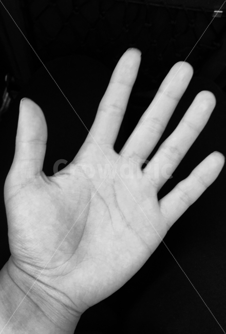 손,사람,연출,팔,인체,사랑,연기,손가락,손바닥,사람,인물,인간,human,person,신체일부,몸,body,손,제스처,표시,손짓,표현,gesture,hand,sign,expression,흑백,모노톤,monochrome,black and white,연출,컨셉,콘셉,direction,concept,누끼,remove background